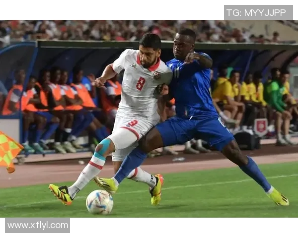 世界杯预选赛因违规遭罚款并停赛 重大处罚引发广泛关注