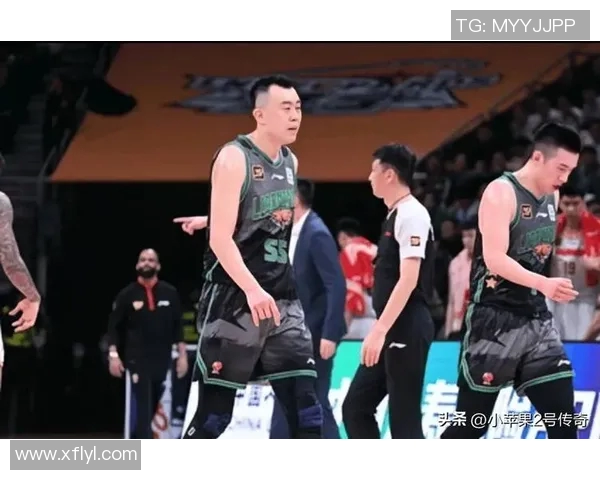 CBA球队赛季表现及数据分析报告